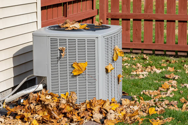 Best HVAC tune-up services  in Plainwell, MI